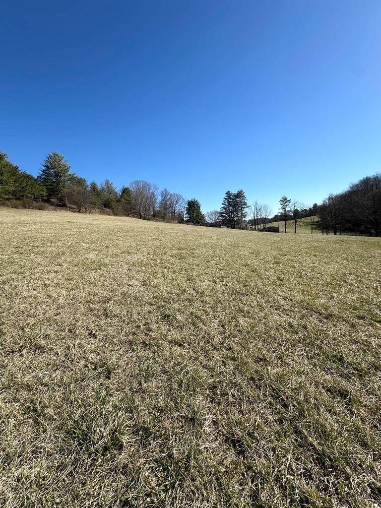 Sugar Grove, VA 24375,2517 Cedar Springs Rd