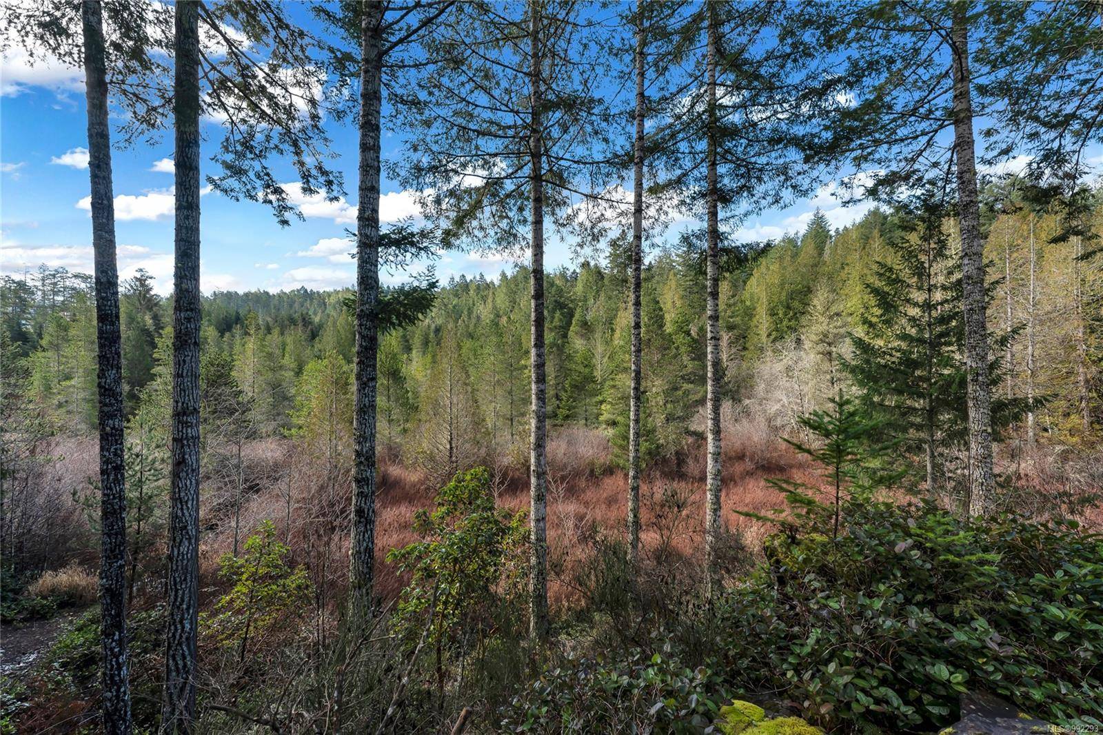 Sooke, BC V9Z 0Z5,5595 East Sooke Rd