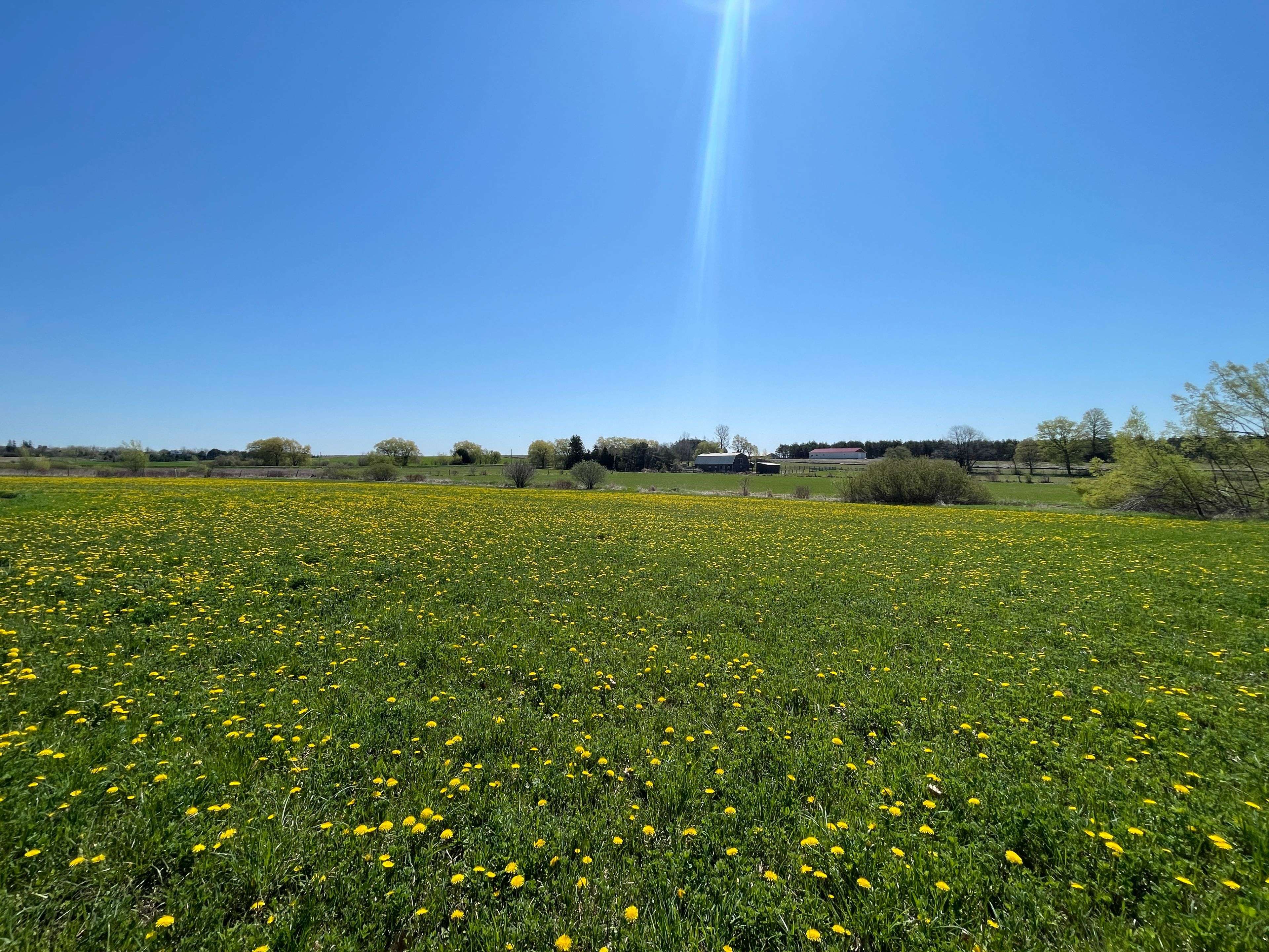 Bradford West Gwillimbury, ON L3Z 3M1,3791 Line 10 N/A