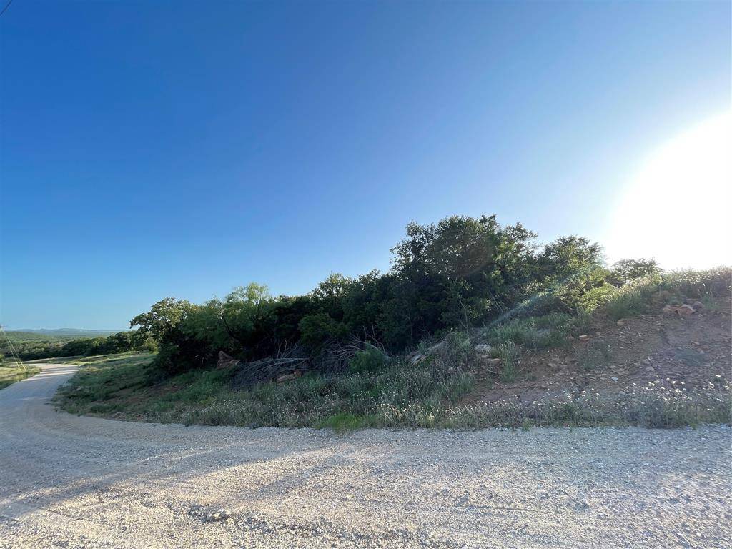 Mingus, TX 76463,Lot 109 Hoahway Drive