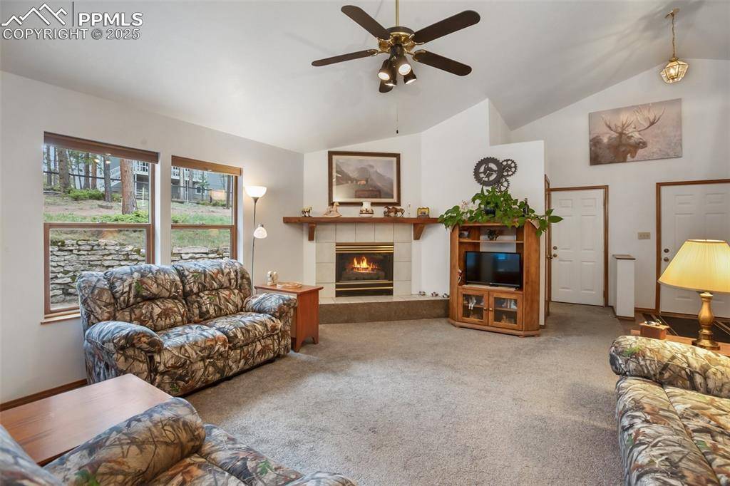 Woodland Park, CO 80863,2997 Sunnywood AVE