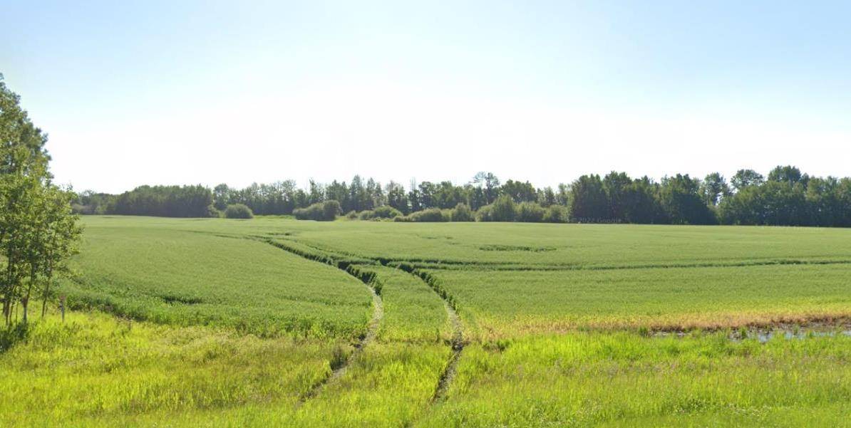 Rural Red Deer County, AB T4E 0A0,On HWY 20 North