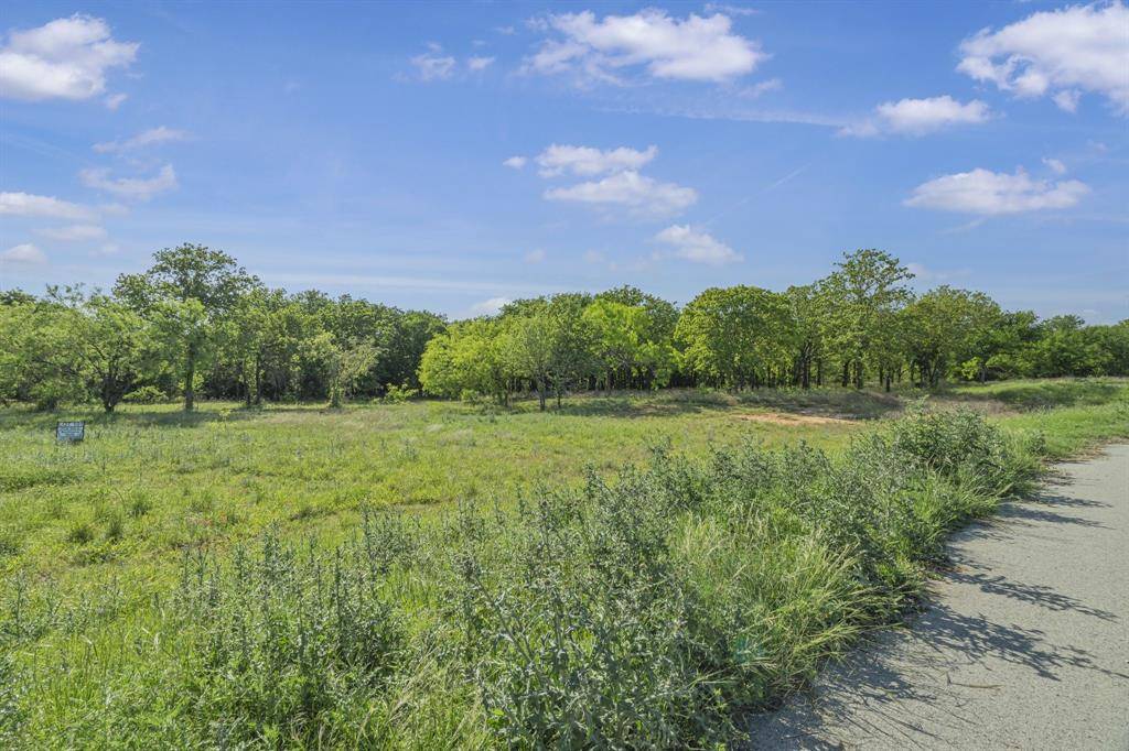 Weatherford, TX 76087,2005 Star Brooke Lane