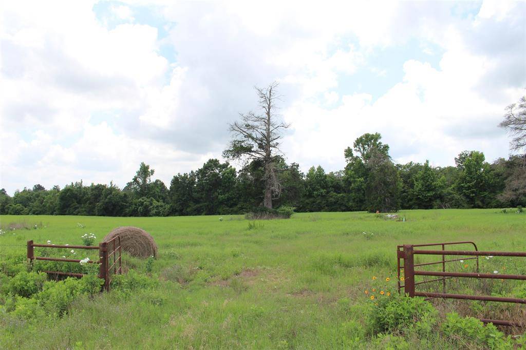 Centerville, TX 75833,TR 13 Private Road 1310