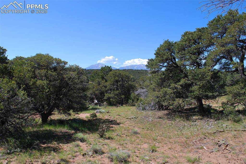 Walsenburg, CO 81089,Williams RD