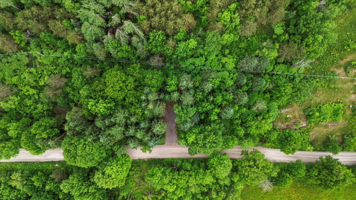 Tweed, ON K0K 3J0,0 Otter Creek RD