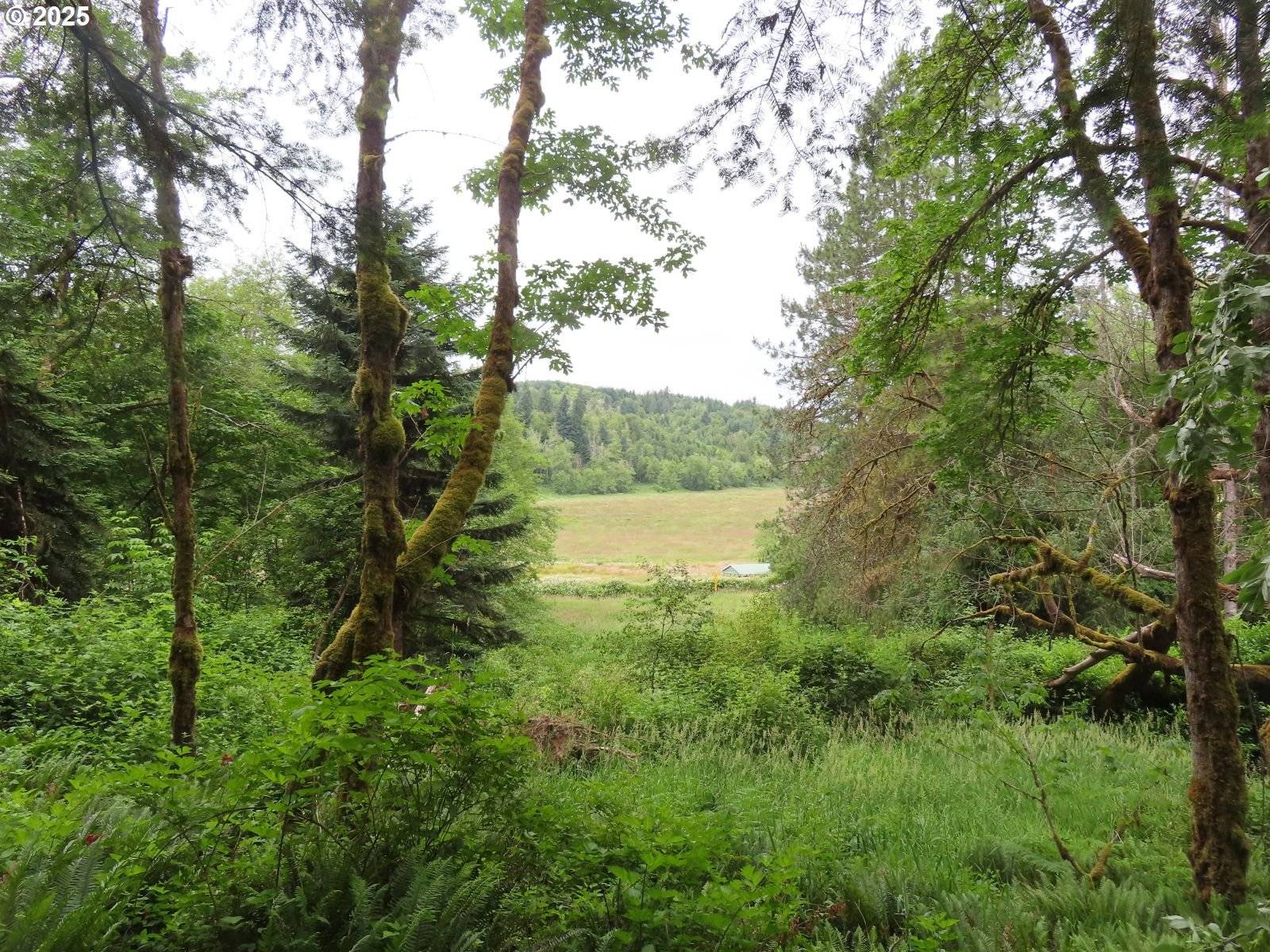 21720 Zenkner Valley RD SW, Centralia, WA 98531