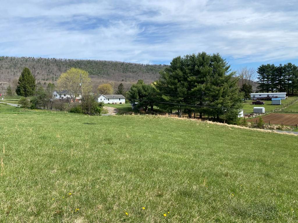 Max Meadows, VA 24360,Lot 3 Walton Furnace Road
