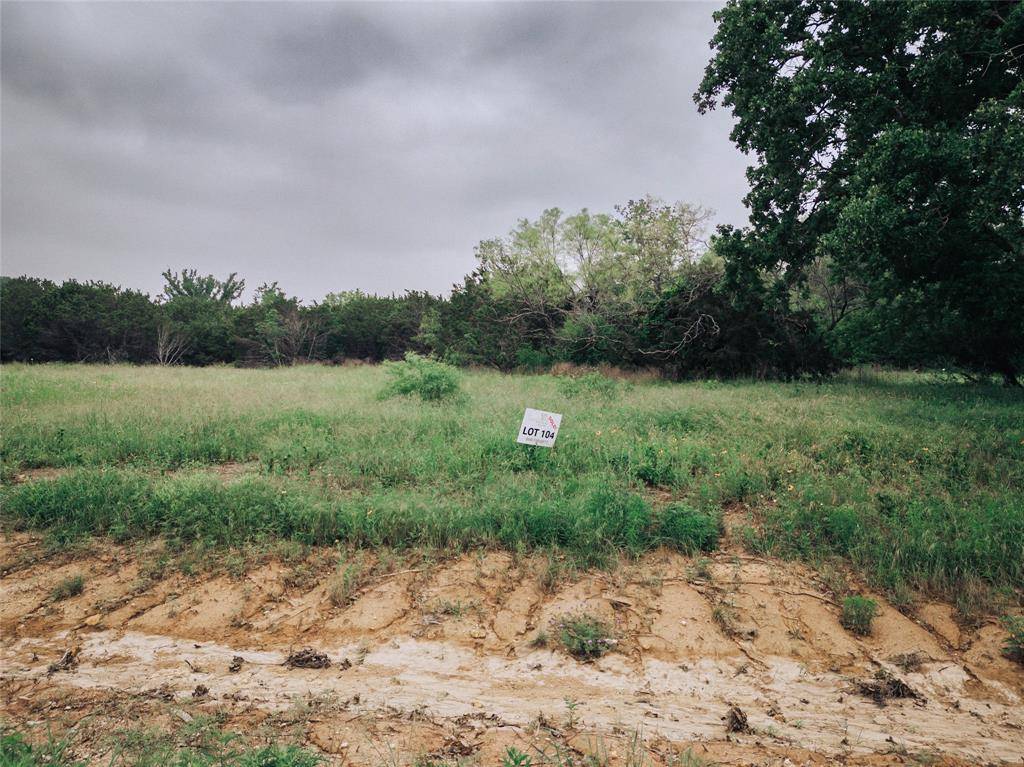 Nemo, TX 76070,1169 County Road 407