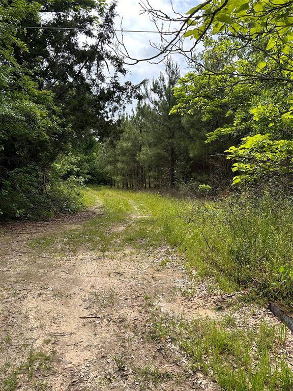Longview, TX 75605,001 George Richey Road