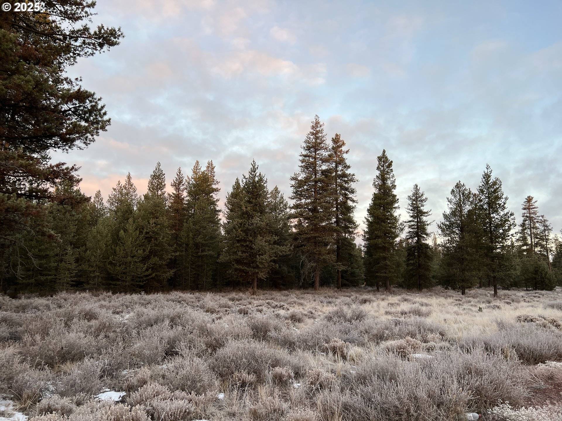 Chemult, OR 97731,HWY 97 N