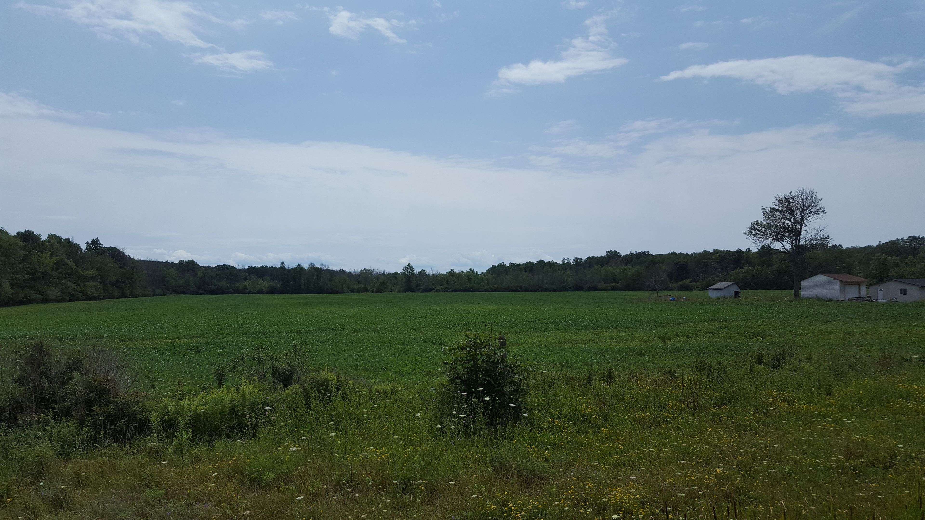 Fort Erie, ON L0S 1N0,4649 Garrison RD