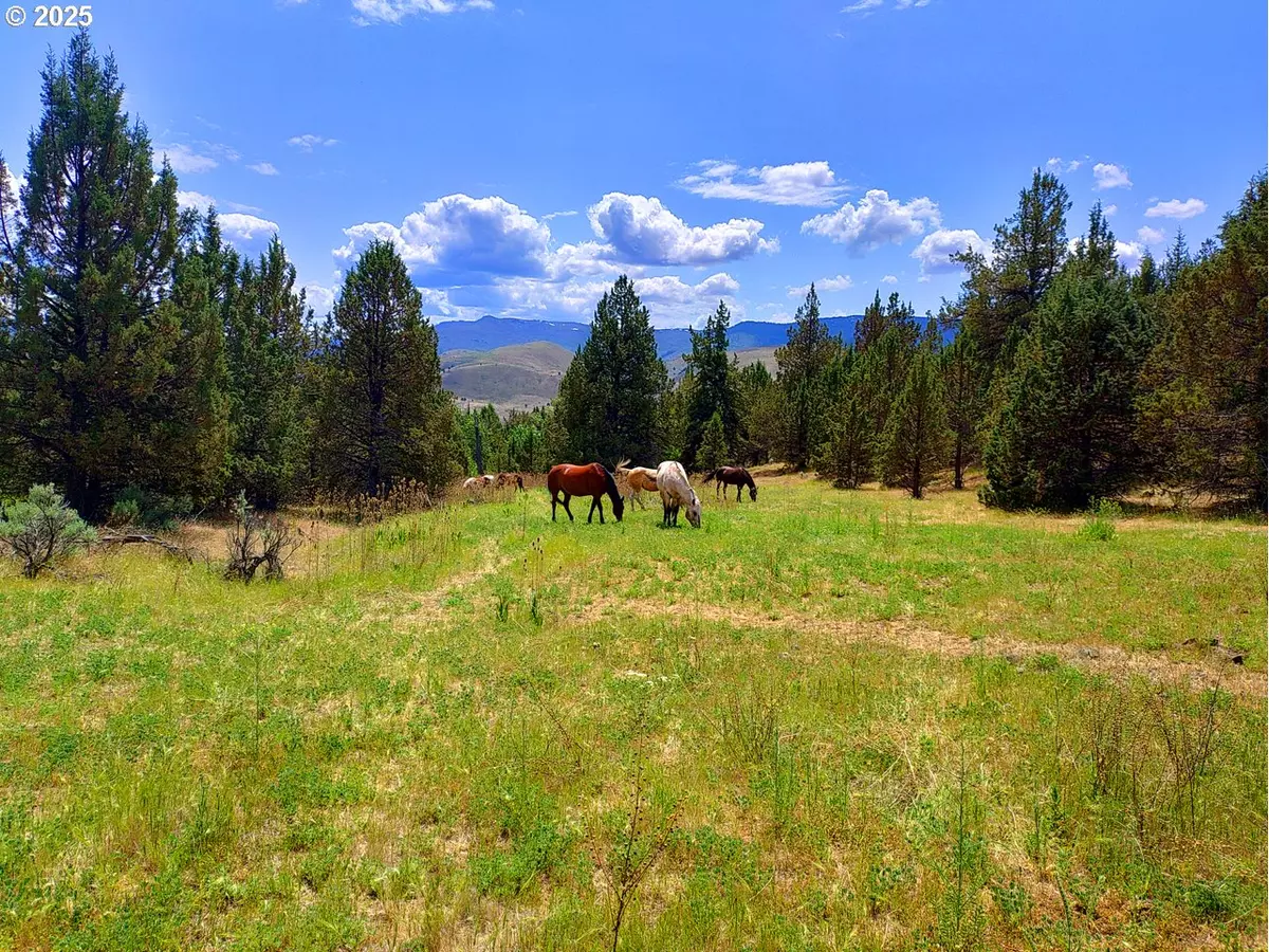 Dayville, OR 97825,Wiley Creek Rd