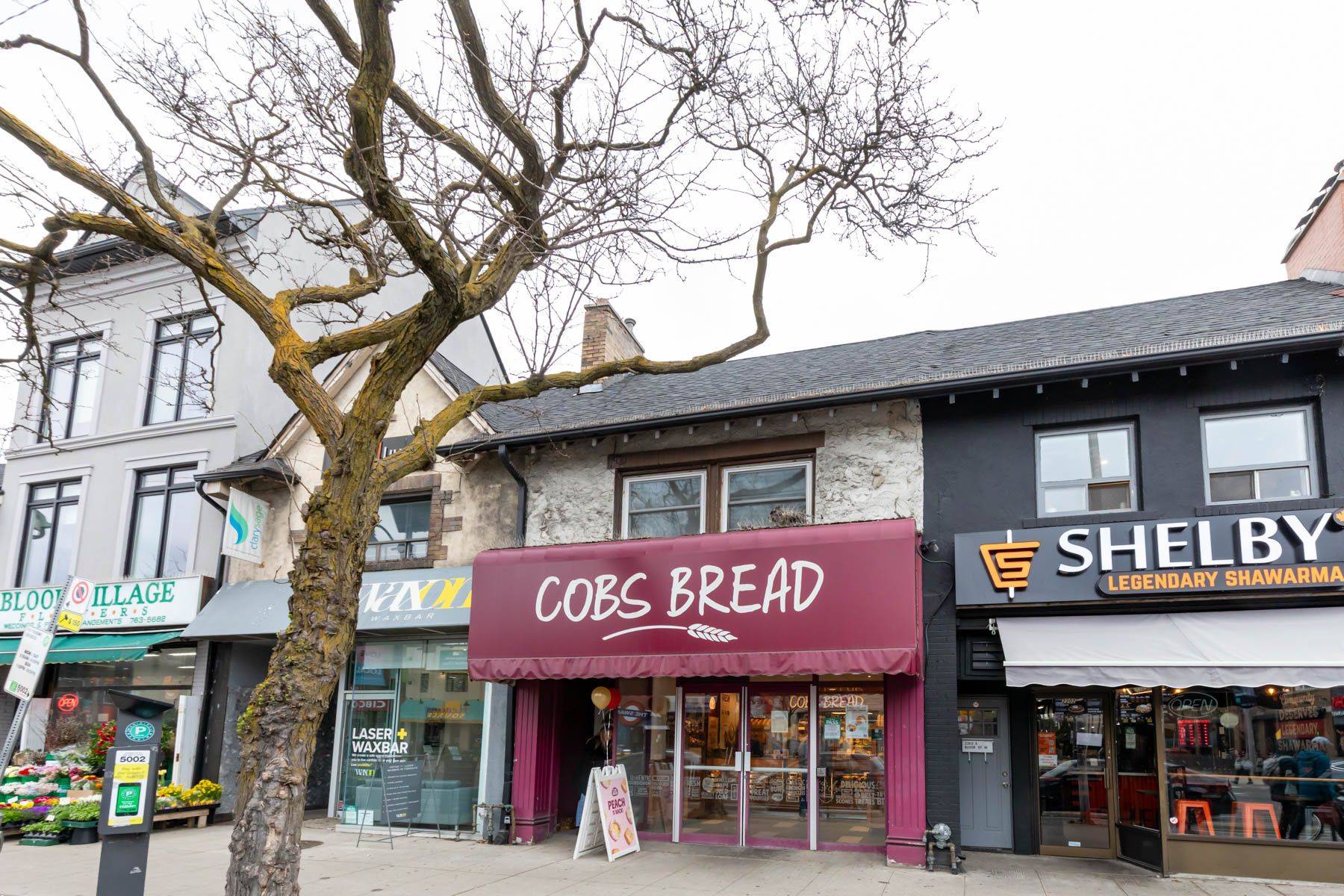 Toronto W02, ON M6S 1N4,2204 Bloor ST W #2nd Floor