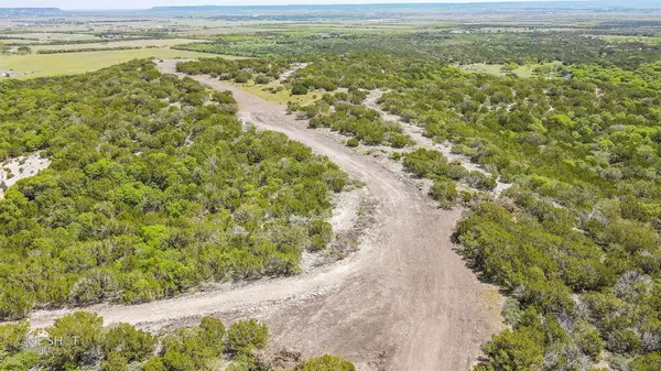 Tuscola, TX 79541,TBD1 Lemons Gap Road