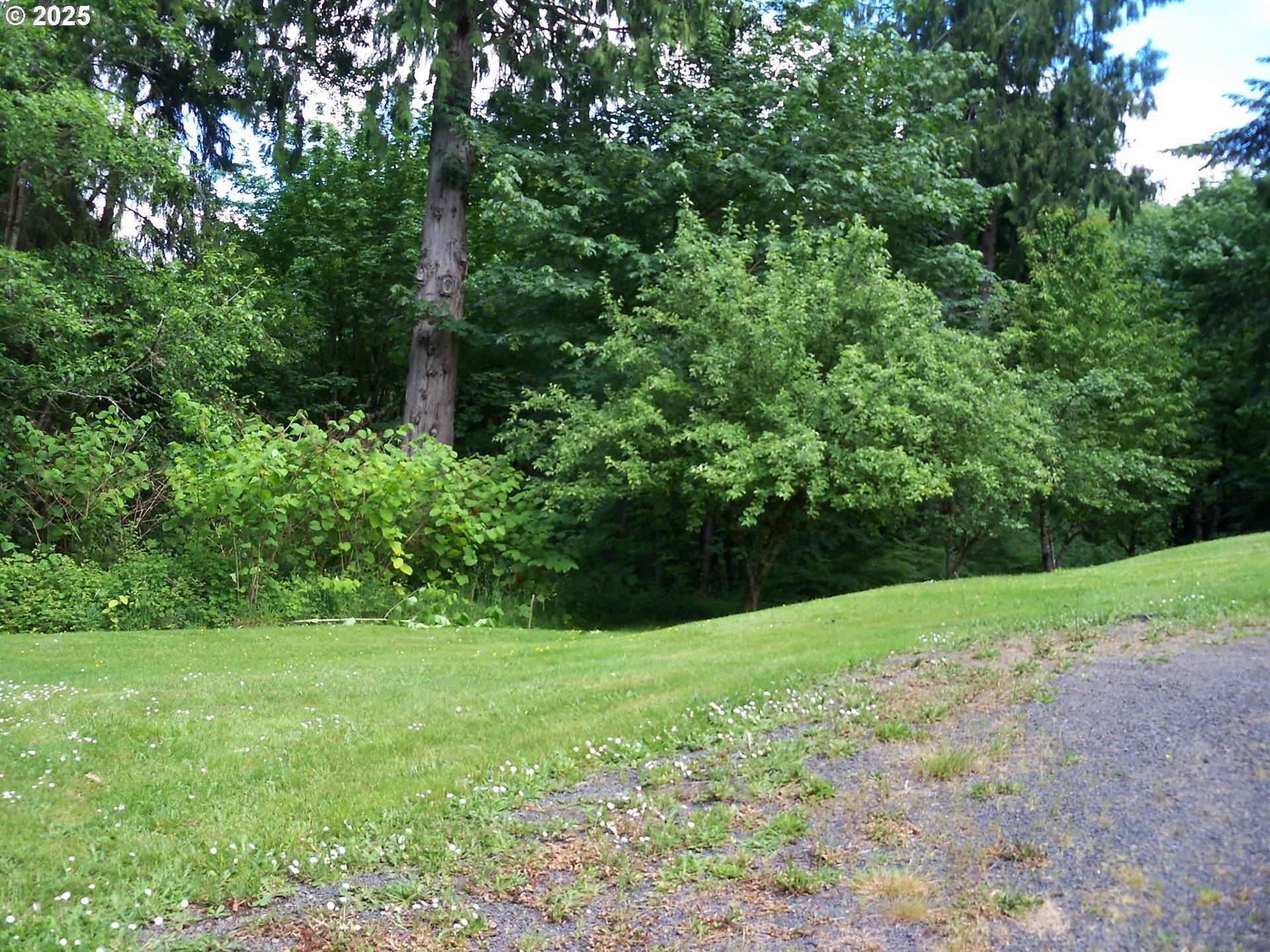 Kelso, WA 98626,306 CORNWELL RD