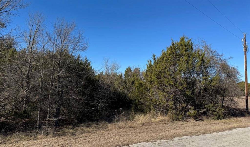 Whitney, TX 76692,36049 Cedar View Drive
