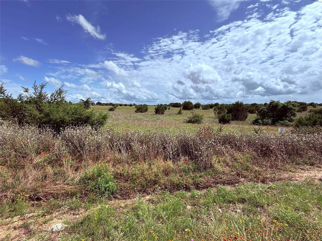 Lipan, TX 76462,184 Gilmore Court