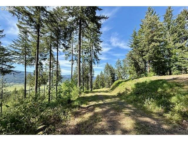 Springfield, OR 97478,Alder Branch RD