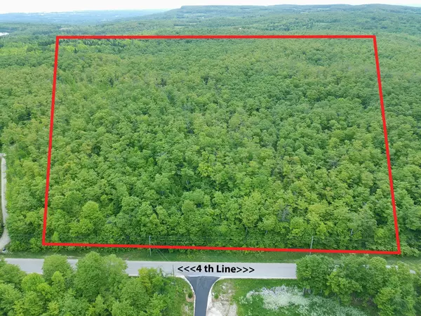 Blue Mountains, ON N0H 2E0,0 4th Line