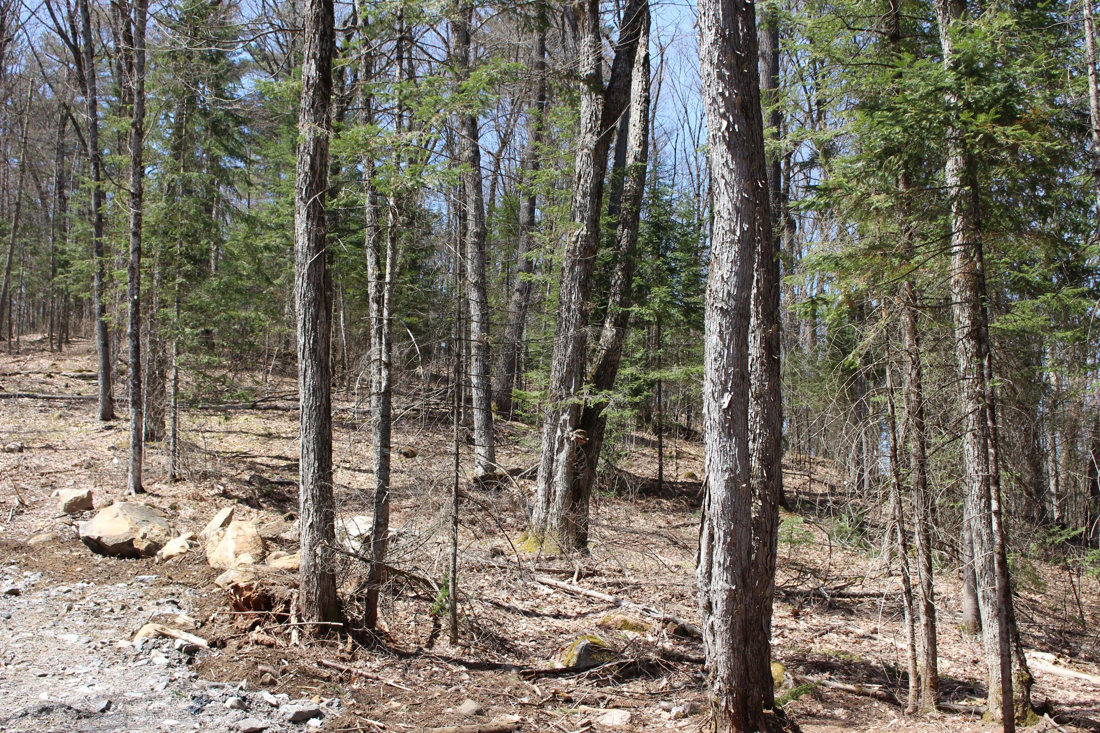 Lake Of Bays, ON P0B 1A0,0000 South Ril Lake RD