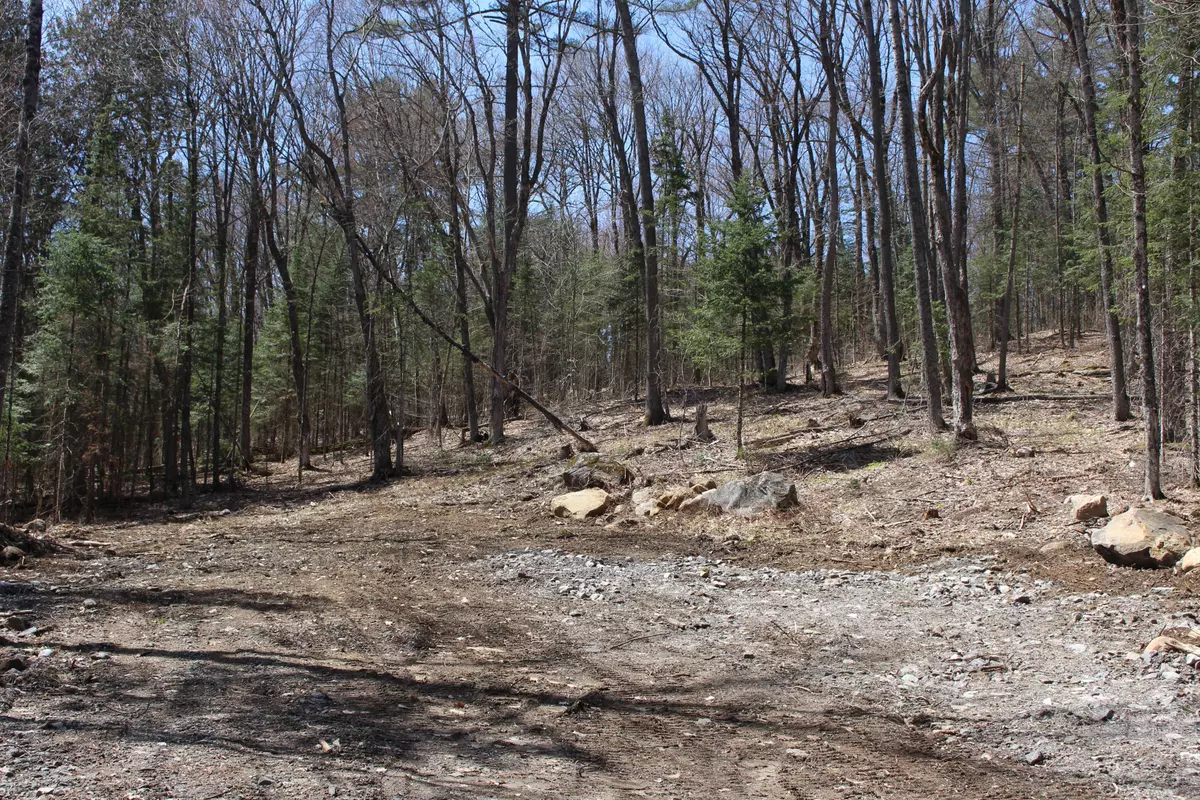 Lake Of Bays, ON P0B 1A0,0000 South Ril Lake RD