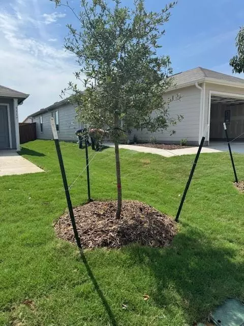 Providence Village, TX 76227,3117 Tokara Drive