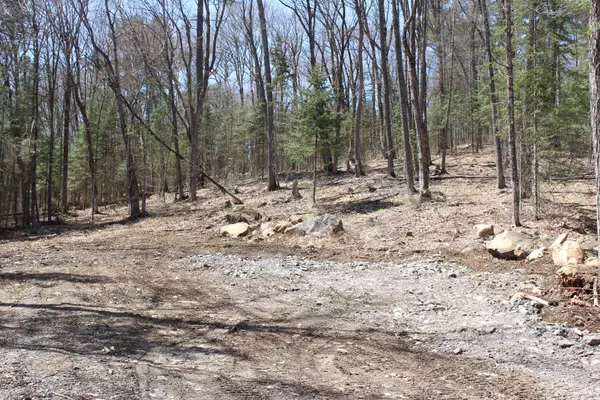 Lake Of Bays, ON P0B 1A0,0000 South Ril Lake RD