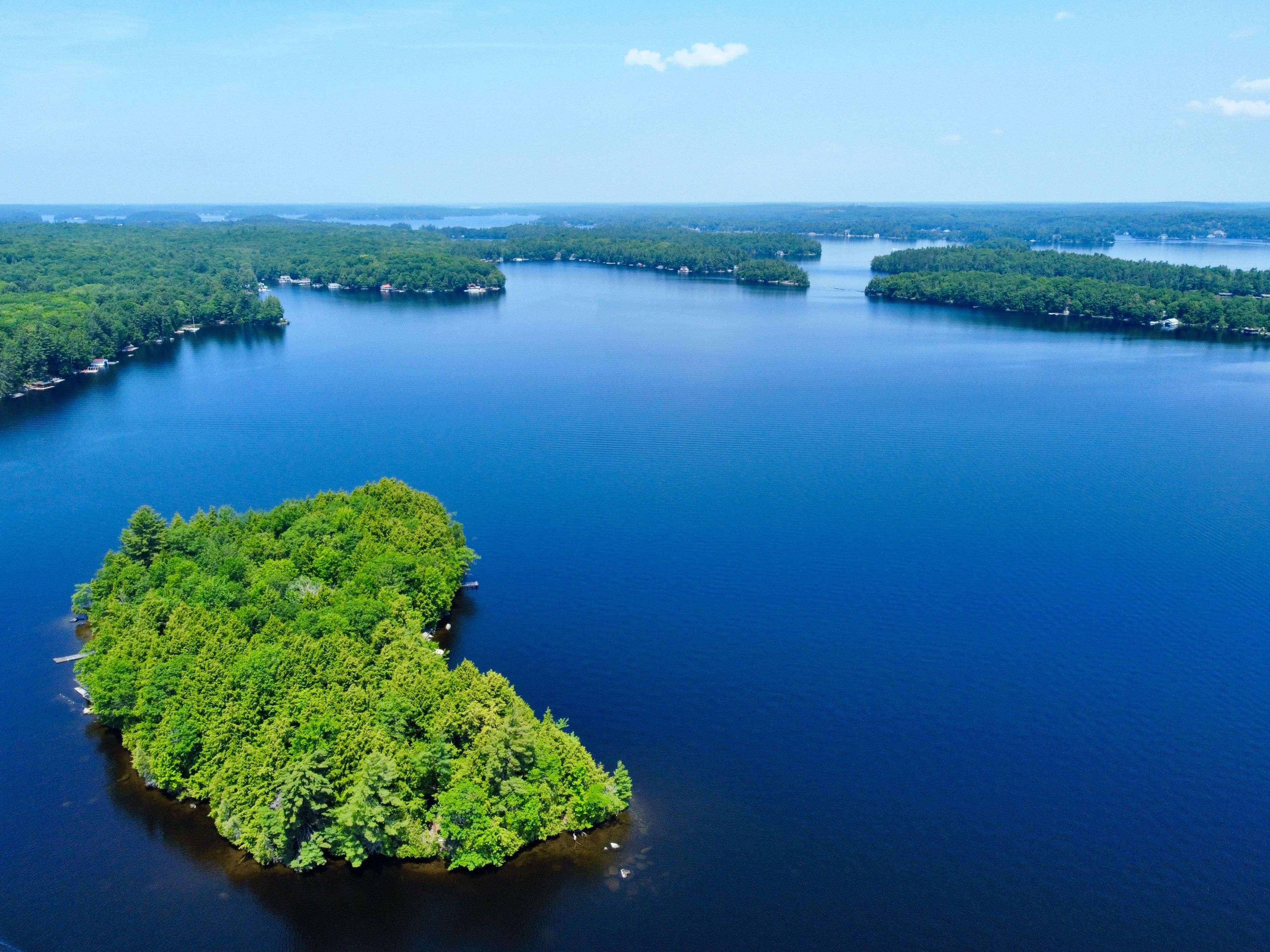 Muskoka Lakes, ON P0B 1J0,1 Cedar Island N/A