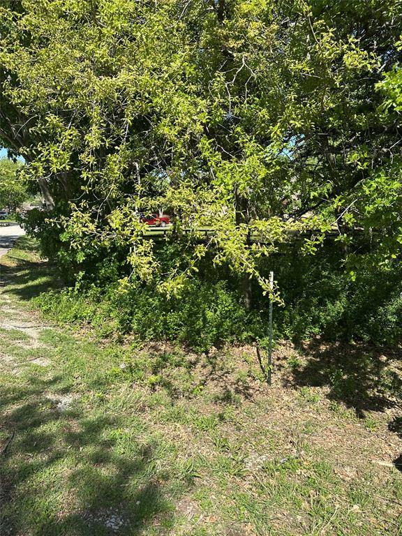 Shady Shores, TX 76208,0000 Cove Drive