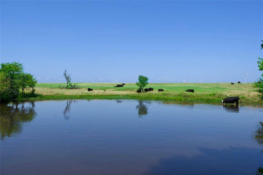 Muenster, TX 76252,TBD County Road 424 Road