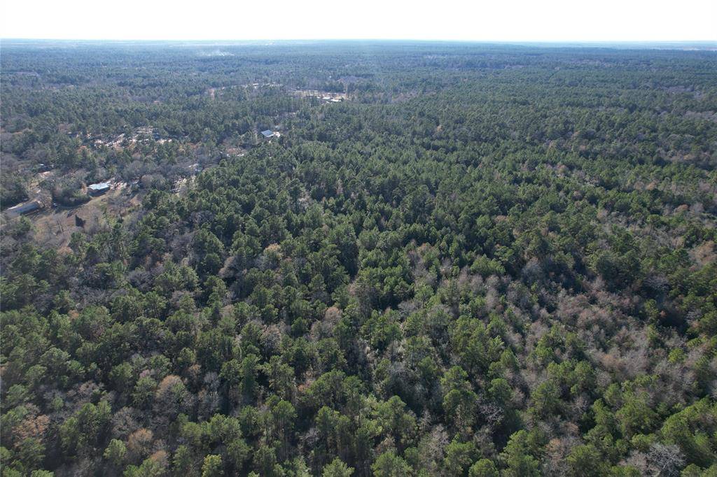 Plantersville, TX 77363,0000 Dyer Mill Rd