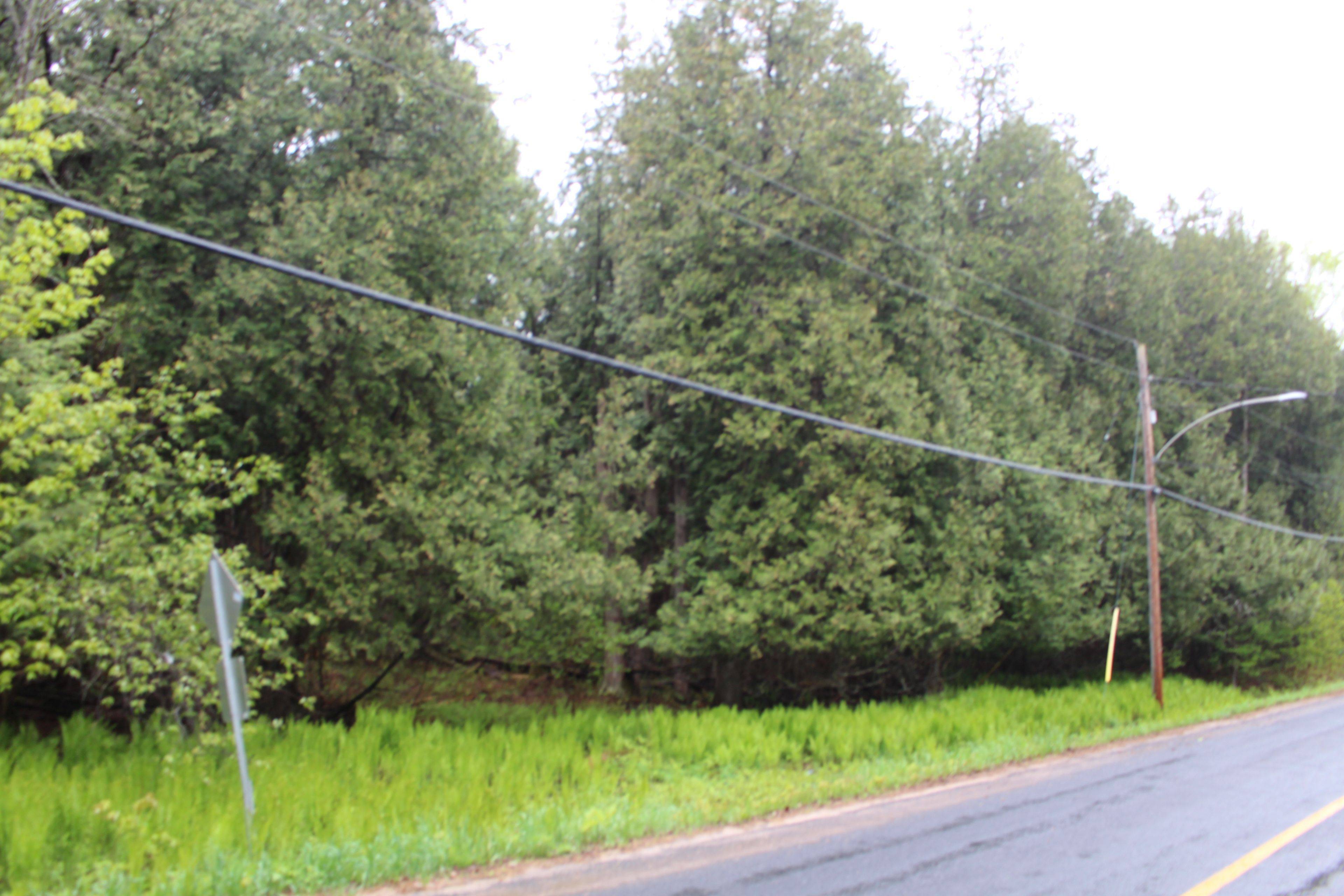 Minden Hills, ON K0M 2K0,0 Kashagawigamog Lake RD E