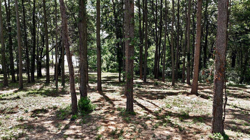 Athens, TX 75752,Lot 340 Grand View Drive
