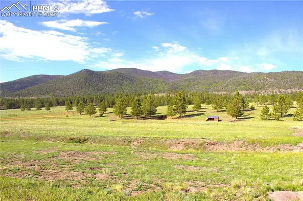 43 Stoll CIR, Lake George, CO 80827