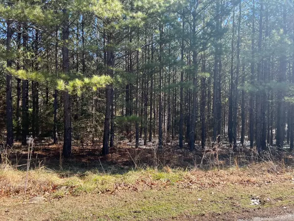 0 First Rock, Prospect, VA 23960