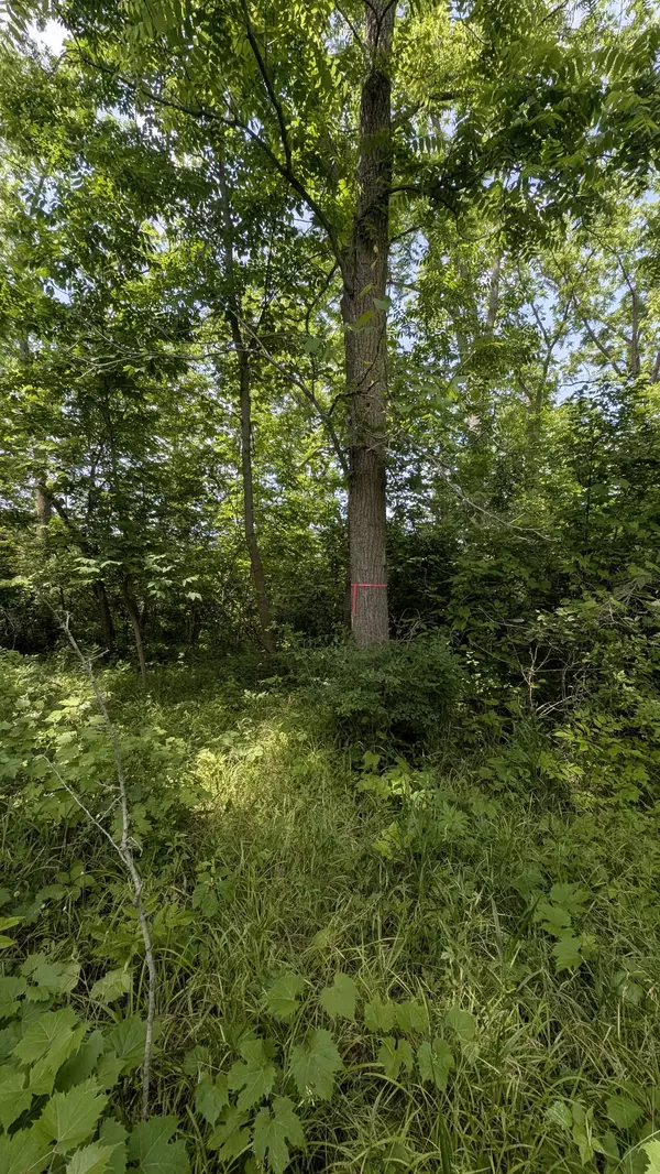Haldimand, ON N3W 1E3,37 Kincardine ST