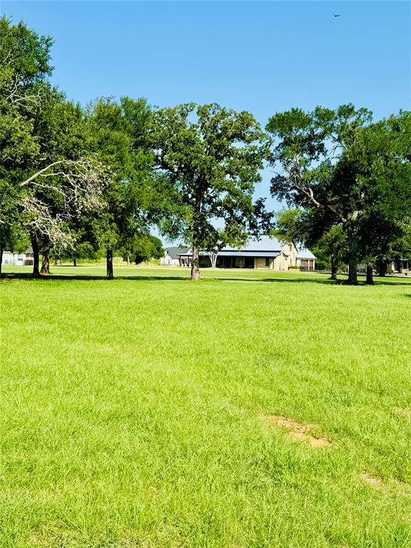 14006 Sandy Oaks Drive, Whitney, TX 76692