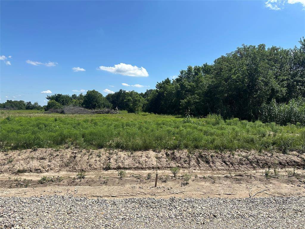 Farmersville, TX 75442,Lot 4 County Road 1110