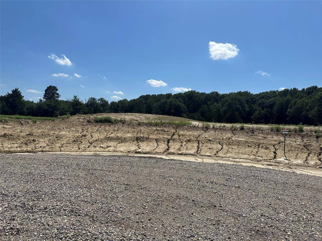 Farmersville, TX 75442,Lot 8 County Road 1110