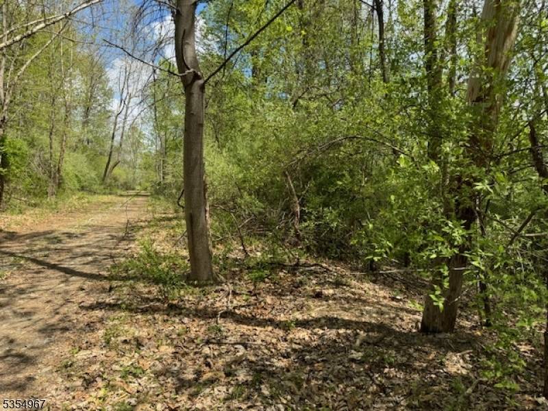 Blairstown Twp., NJ 07825,14 Laurel Woods Dr