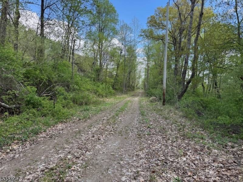 Blairstown Twp., NJ 07825,14 Laurel Woods Dr