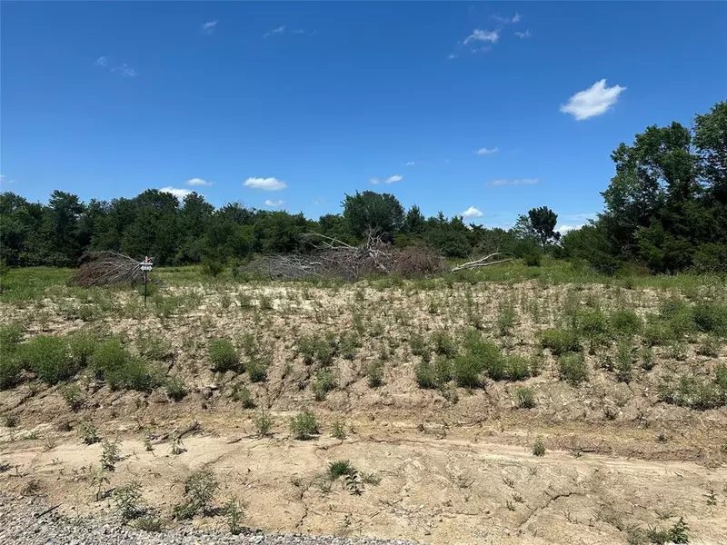 Lot 14 County Road 1110, Farmersville, TX 75442