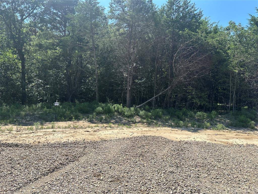 Farmersville, TX 75442,Lot 12 County Road 1110