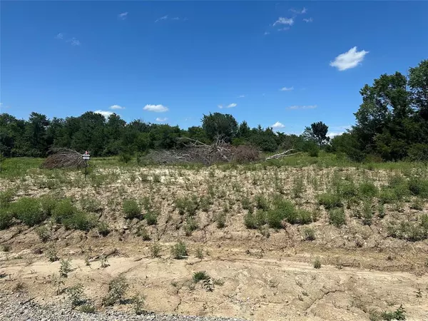 Farmersville, TX 75442,Lot 14 County Road 1110