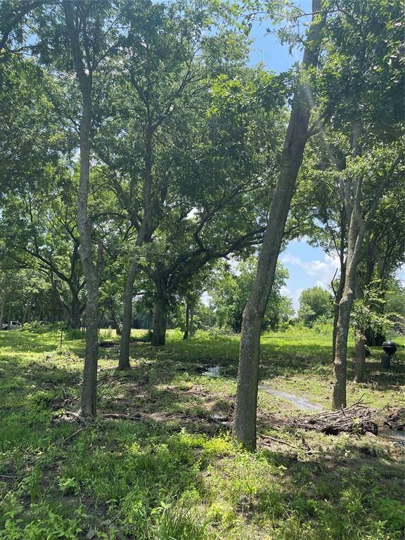 TBD Longview Creeek Trail, Itasca, TX 76055