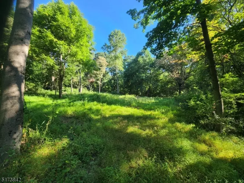 130 Harding Dr, Washington Twp., NJ 07882