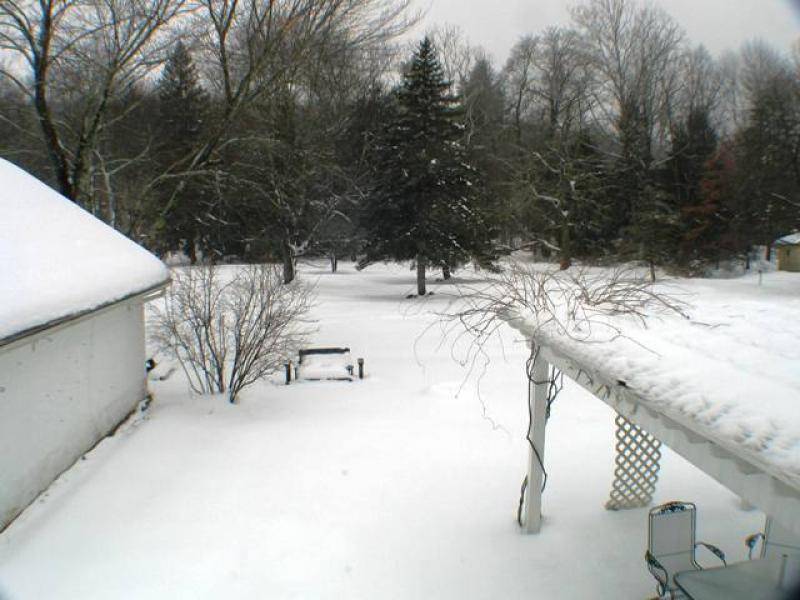 Warren Twp., NJ 07059,109 Myrtle Rd #1113