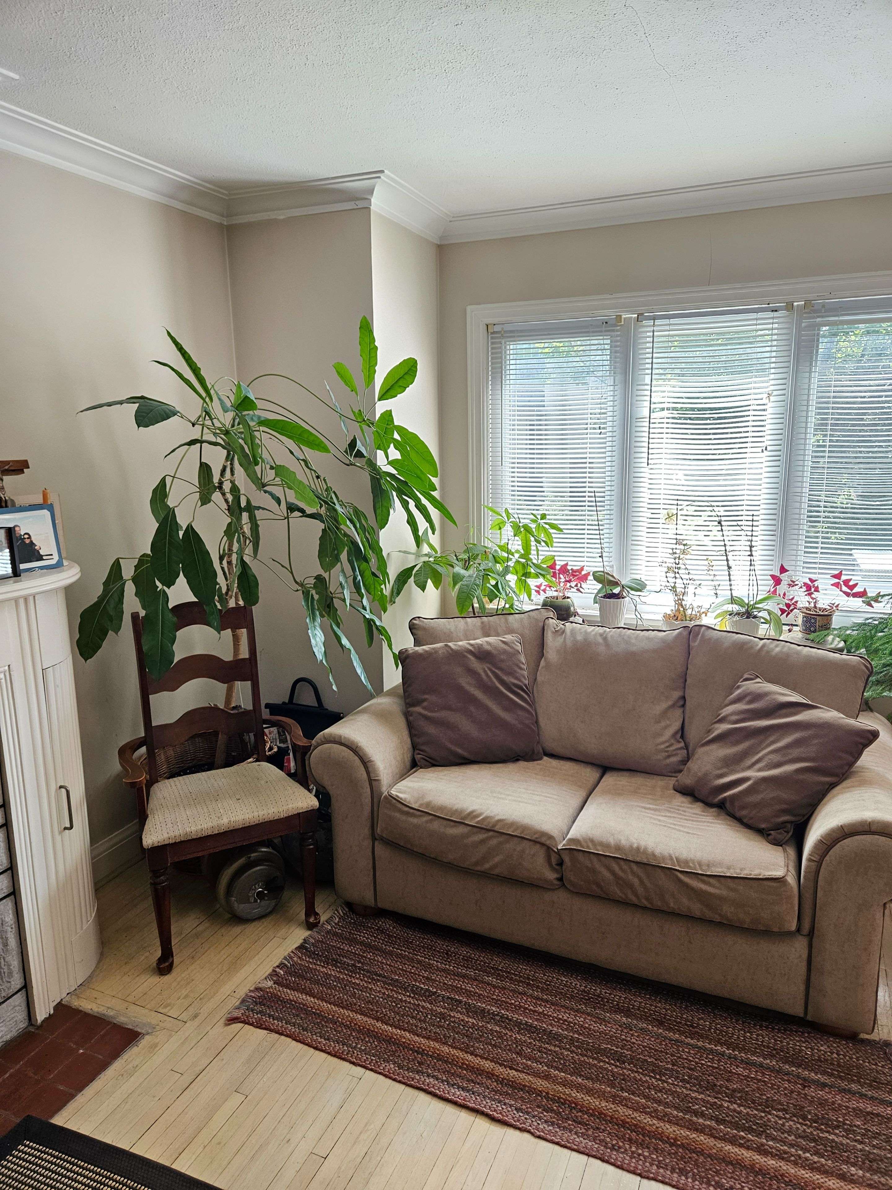 Toronto C04, ON M4N 2E1,28 Glen Echo RD