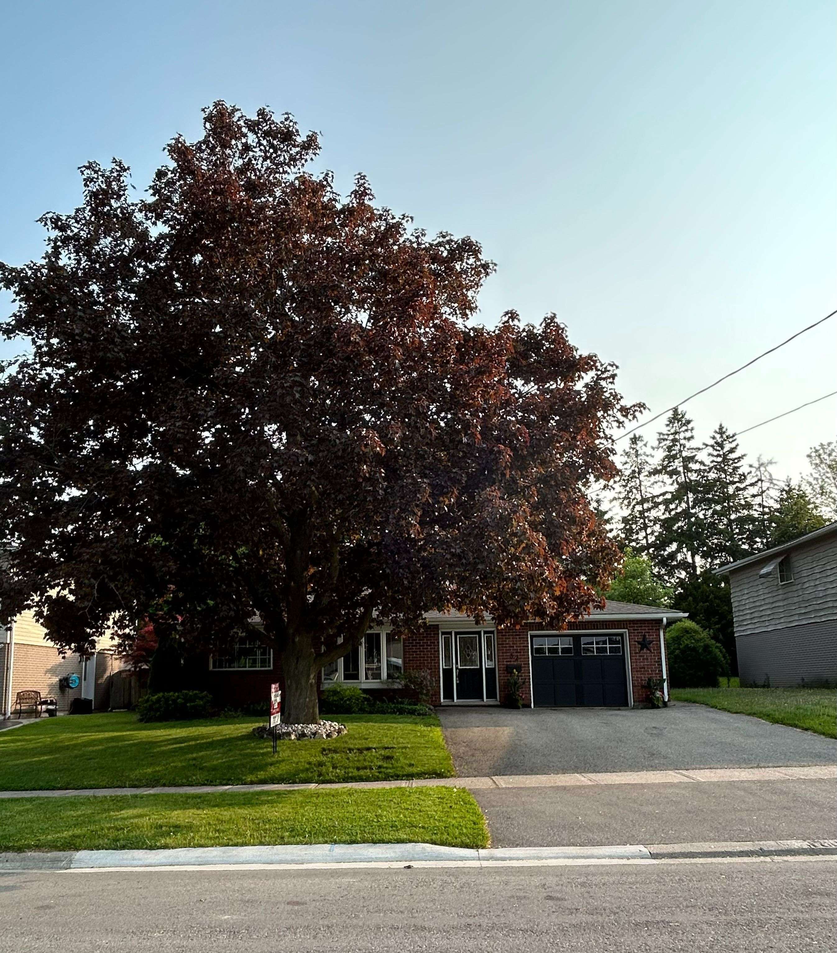 Halton Hills, ON L7G 2S4,32 Joycelyn CRES
